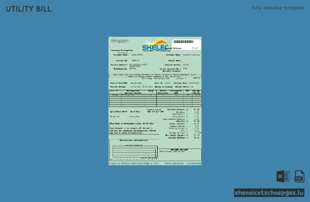 Beispielrechnung der St. Kitts Electricity Company (SKELEC) – Vorschau
